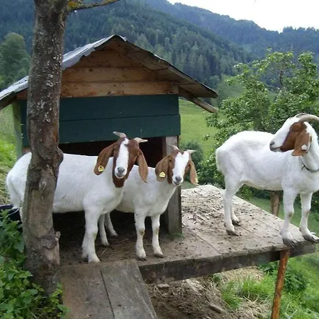 Hochkoenigblick At Bichlgut *