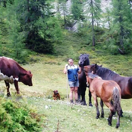 Hochkoenigblick At Bichlgut * Бишофсхофен